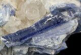 Kyanite Crystal Cluster with Quartz - Brazil #45004-1